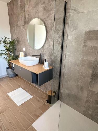 a bathroom with a sink and a mirror at Studio indépendant in Marigny-Saint-Marcel