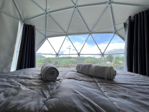 a bed in a tent with a large window at See Scape Camping Khaokho in Ban Nong Bong