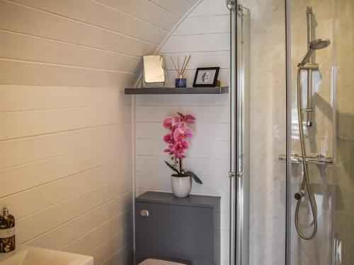 a bathroom with a shower and a vase of flowers at Cheviot - Ukc6789 in Fort William