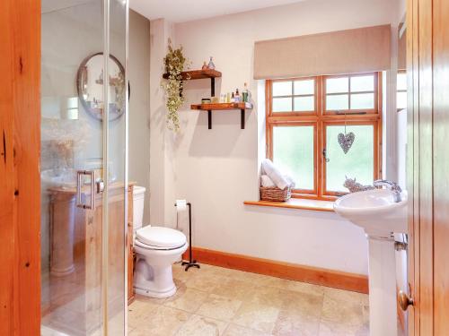 a bathroom with a toilet and a sink and a window at Fern Bank Cottage in Parkend