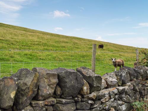 two animals standing behind a stone fence in a field at North Moor Farm Shepherds Hut in Bradley
