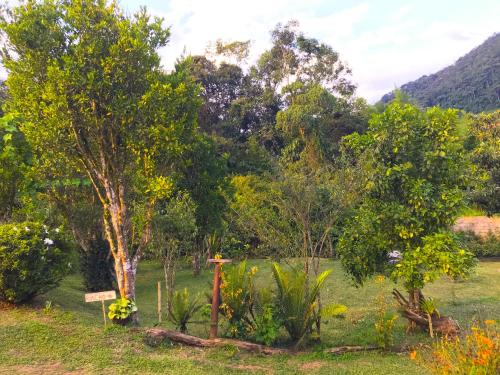 a garden with trees and a mountain in the background at Pousada Dona Chica in Visconde De Maua