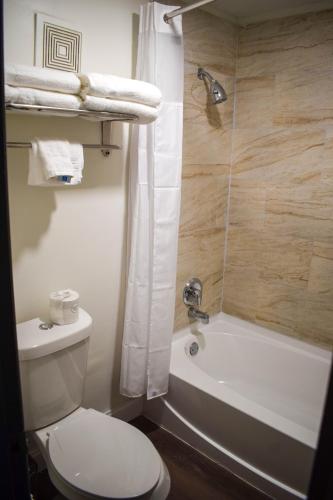 a bathroom with a toilet and a tub and a shower at Ramada by Wyndham Cleveland Airport West in Fairview Park