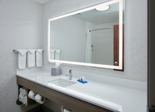 a bathroom with a sink and a large mirror at Holiday Inn Express Hotel & Suites Shakopee by IHG in Shakopee