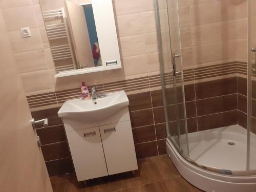ein Bad mit einem Waschbecken und einer Dusche in der Unterkunft Dunav in Smederevo