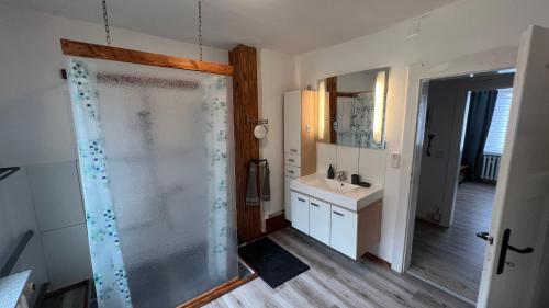 een badkamer met een douche en een wastafel bij B12 - Ferienwohnung in Wernigerode, ideal für Wander- und Naturbegeisterte Paare in Wernigerode