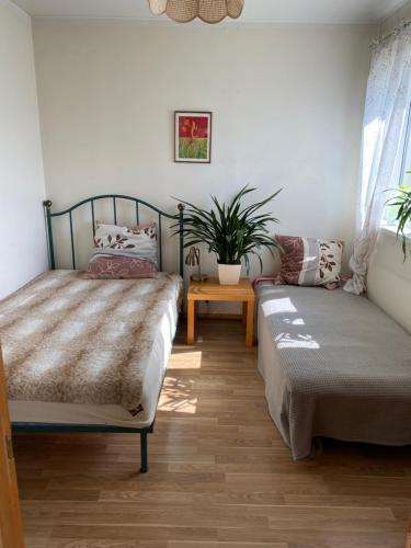 sypialnia z 2 łóżkami i doniczką w obiekcie Waterfront in peaceful Bulli w Rydze