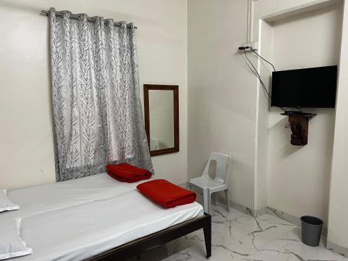 TV a/nebo společenská místnost v ubytování Hotel Laxminarayan Niwas