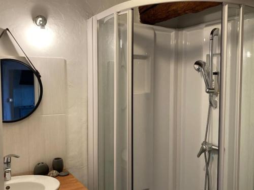 a bathroom with a shower and a sink and a mirror at Studio face Métro B l'hôpital Lyon Sud Fac de médecine in Pierre-Bénite