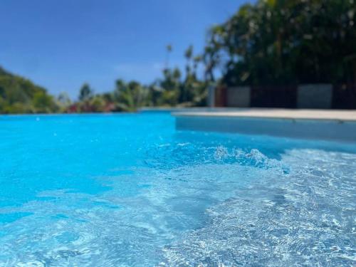 a pool filled with blue water with trees in the background at Au domaine du vacoa in Saint-Philippe