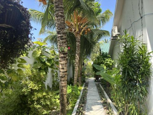 a palm tree in a garden next to a building at Aqua oasis in Thoddoo