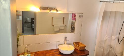 een badkamer met een wastafel en een spiegel bij Paradies Caraïbes III in Les Abymes