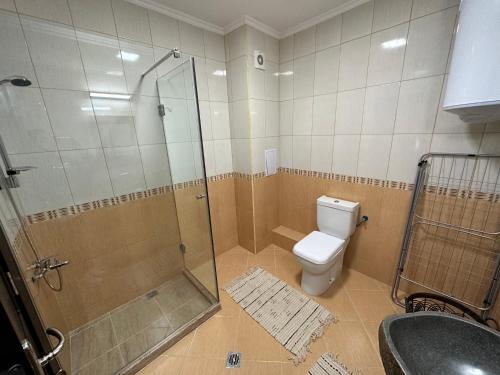 a bathroom with a shower and a toilet and a sink at PANTELI APART HOUSE in Aheloy