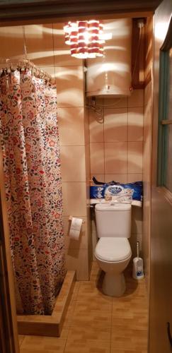 a small bathroom with a toilet and a shower curtain at WROTA PODLASIE in Siemiatycze