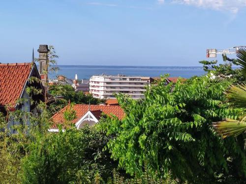 Природа в окрестностях дома для отпуска