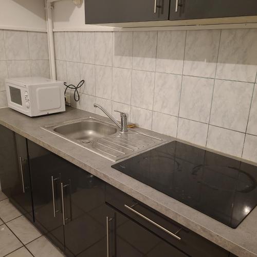 um balcão de cozinha com um lavatório e um micro-ondas em Appartement Brest Saint Martin em Brest