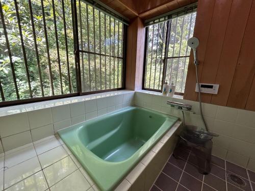 a green bath tub in a bathroom with windows at フォレストハウス伊豆箱根 in Kannami