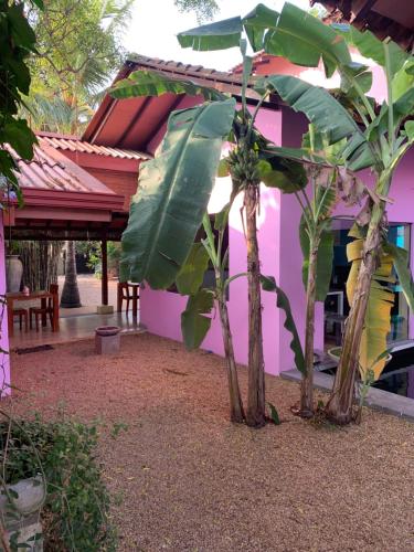 a pink house with trees in front of it at Dickman Resort "The Boutique Hotel" in Negombo