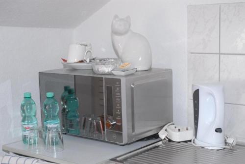 a microwave with a cat sitting on top of it at Klosterherberge Economy in Meßkirch