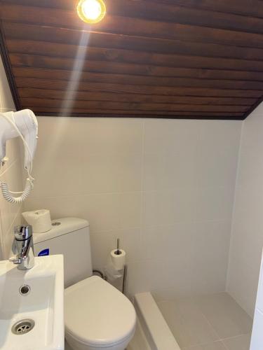 a bathroom with a white toilet and a wooden ceiling at Hotel Tys in Dilove