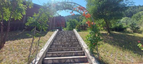 Taman di luar Mini Complex Rilski Terasi