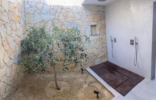 - une salle de bains avec un arbre dans l'angle d'une douche dans l'établissement Villa Baldin, à Lipsi