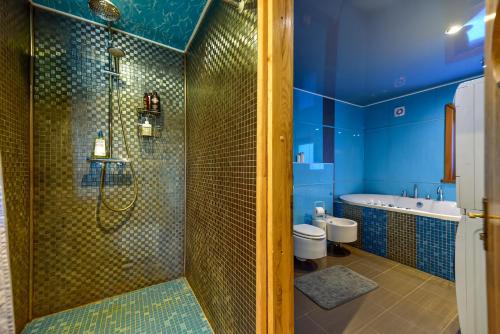 a blue bathroom with a shower and a toilet at Bebrusų sodyba in Molėtai