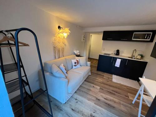 Studio Strasbourg avec jardin