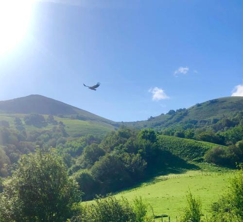 deux avions survolant un champ verdoyant avec des collines dans l'établissement Un écrin dans la nature, à Espelette