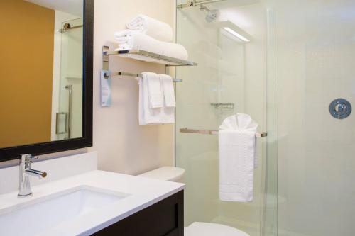 een badkamer met een toilet, een wastafel en een douche bij Fairfield by Marriott Inn & Suites Raynham Middleborough/Plymouth in Middleboro