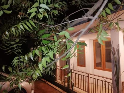 einen Baum vor einem Haus mit Balkon in der Unterkunft Nature Rock Dambulla in Dambulla