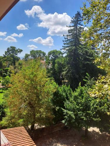Hotel Villa Robinia – Photos 3
