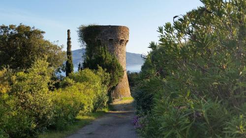 a dirt road leading to a tall tower with vines at Studio T1 bis vue mer Propriano in Propriano