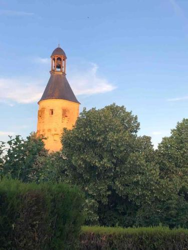 Photo de la galerie de l'établissement Maison des vignes, à Cravant