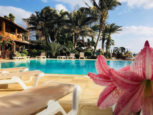 een zwembad van het resort met stoelen en palmbomen bij Porto Antigo 2 Beach Club in Santa Maria