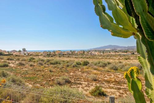 a view of the desert from behind a cactus at Sea View Family Villa with Private Pool, San Juan de los Terreros in Pulpí