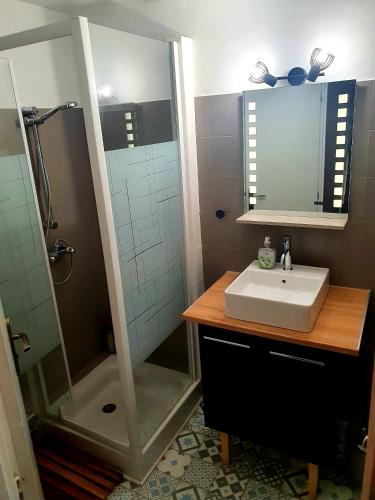 une salle de bain avec un lavabo et une douche dans l'établissement Maison 8 personnes St pierre la mer, à Fleury