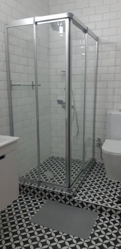 y baño con ducha de cristal y aseo. en Sabor Residence, en Lefkosa Turk