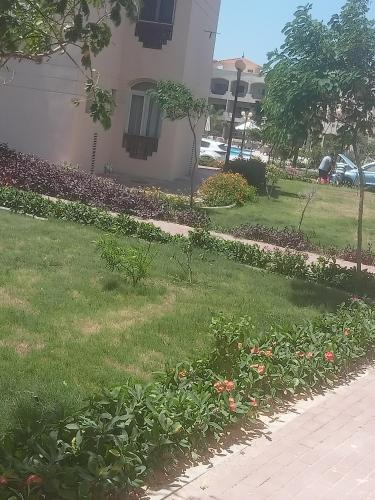 um quintal com relva e flores em frente a um edifício em طريق الساحلي الدولي بلطيم em Al Ḩammād
