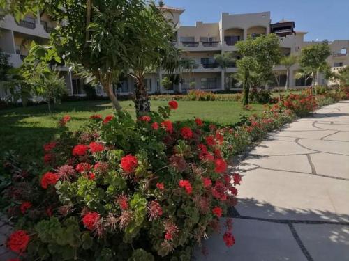 um jardim de flores vermelhas em frente a um edifício em طريق الساحلي الدولي بلطيم em Al Ḩammād