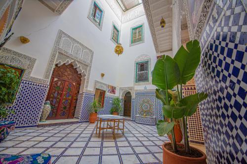 a room with blue and white tiles and a table and a plant at Riad Rayhana in Fez