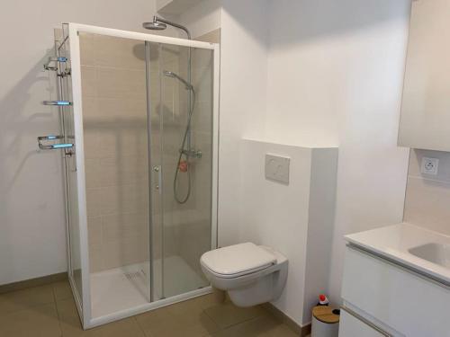 une salle de bain blanche avec douche et toilettes dans l'établissement Appartement cosy proche de la mer, à Neufchâtel-Hardelot