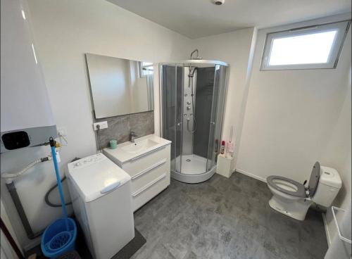 une salle de bain avec une douche, des toilettes et un lavabo dans l'établissement Charmant appartement avec terrasse proche du centre, à Périgueux