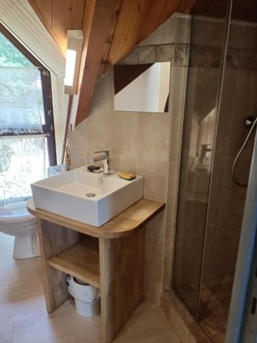 une salle de bain avec un lavabo et une douche dans l'établissement Belle Demeure Sarladaise, à Sarlat-la-Canéda