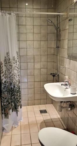a bathroom with a shower and a toilet and a sink at SoloRica House(400m to Lego House,1km to Legoland) in Billund