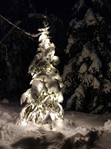 a snow covered christmas tree with lights on it at Saremökki in Kittilä