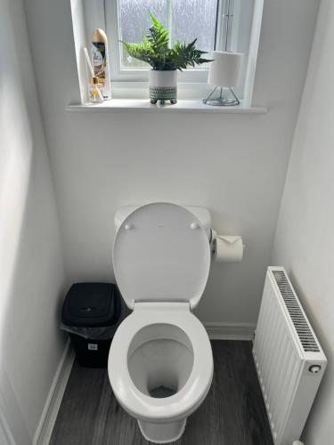 a bathroom with a toilet with a window and a plant at Modern Comfy One Bed Apartment - Free Parking in Glasgow