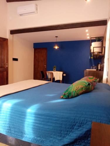 Salta AZUL – Photos 2