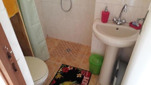 un piccolo bagno con un water e un lavandino di GITE LE FILAO a Le Lorrain