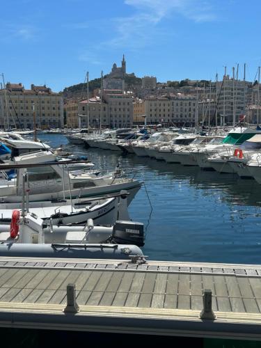 célèbre vieux port, Marseille photo 8